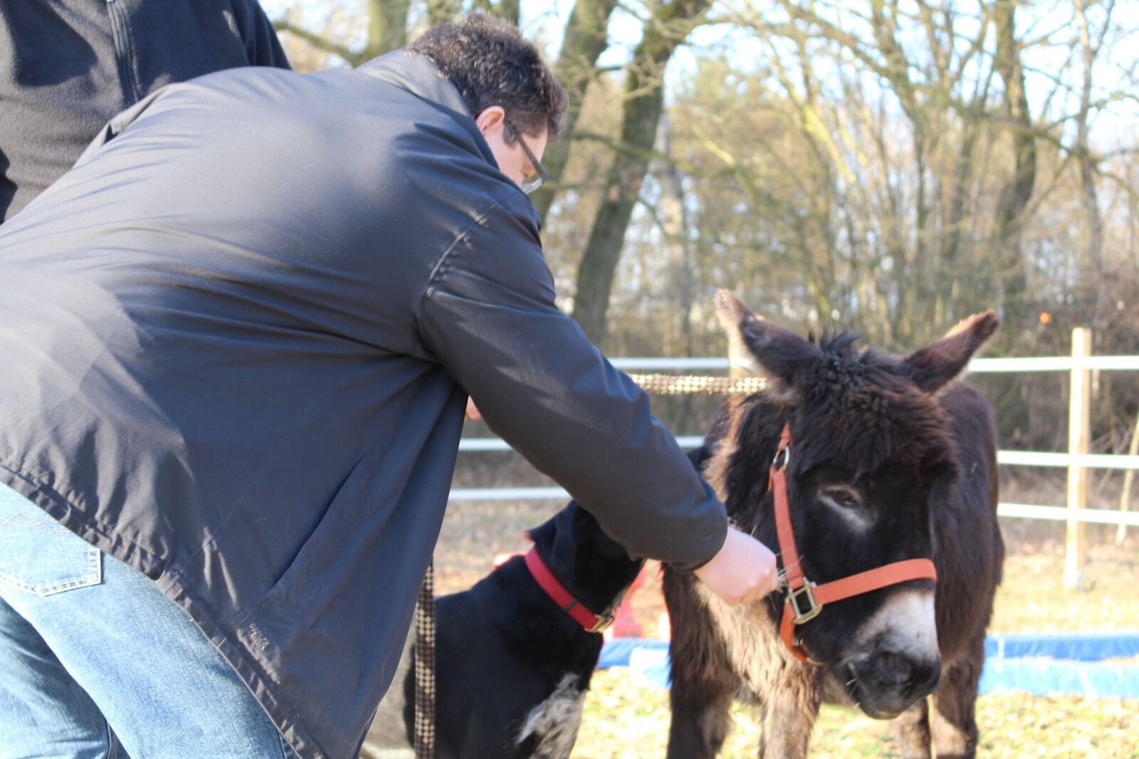 Coaching mit Pferden - Ausbildung absolvieren