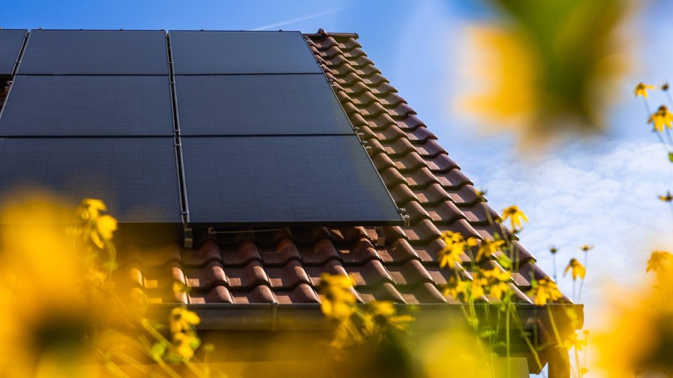 Bild zum Artikel Enpal: Kosten für PV-Anlage