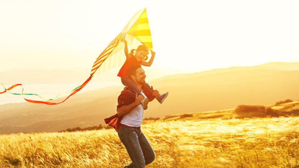 Bild zum Artikel Existenzschutz