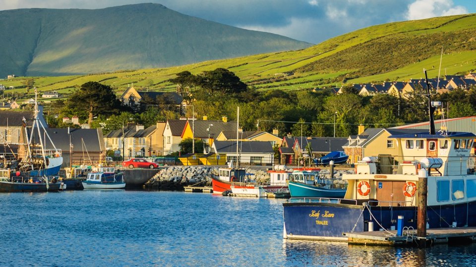 Bild zum Artikel Irisches Insolvenzverfahren