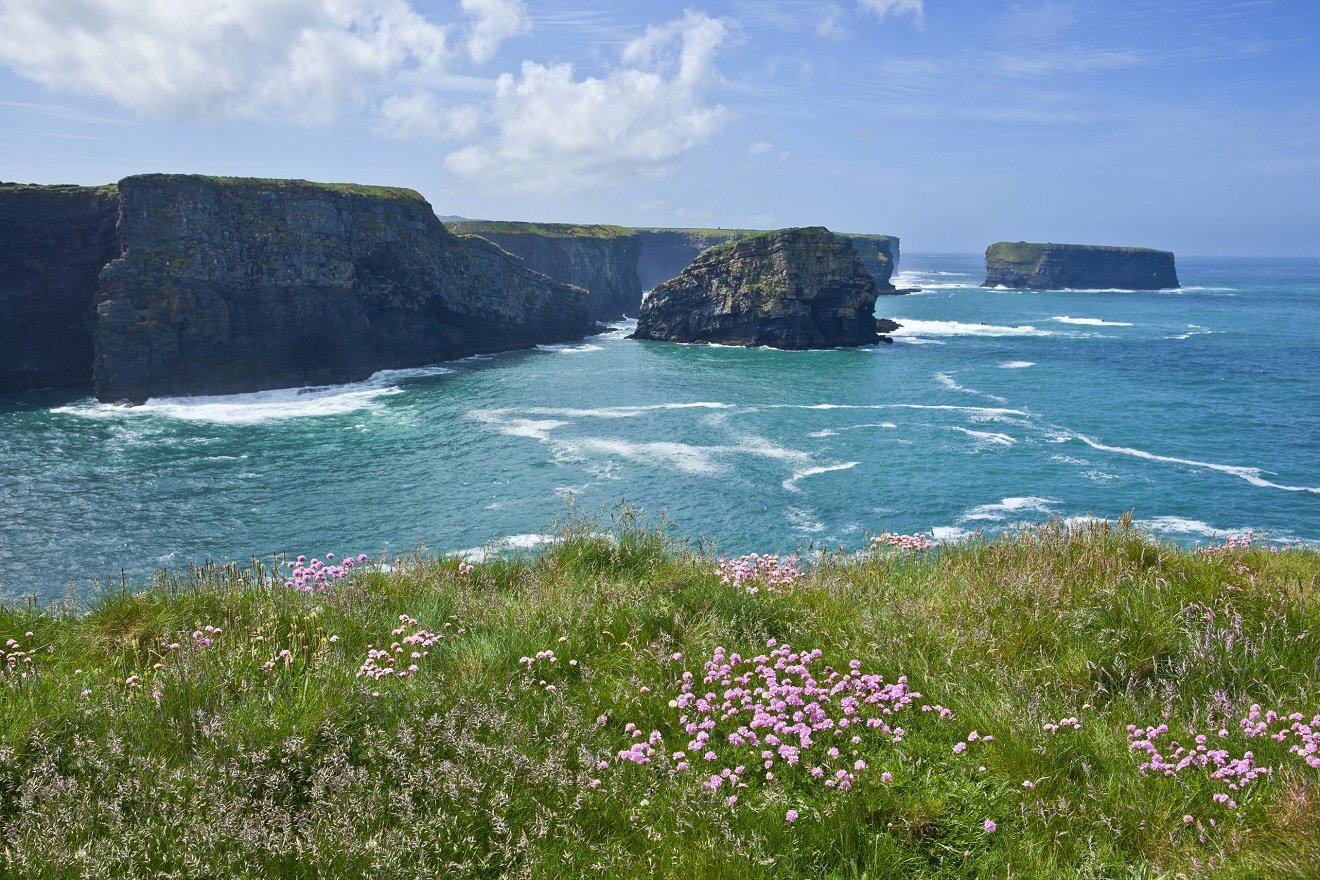 Privatinsolvenz in Irland