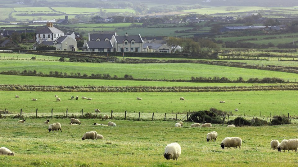 Bild zum Artikel Privatinsolvenz beantragen