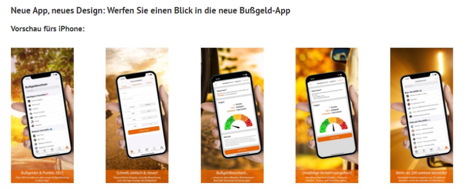Bild zum Artikel bussgeldkatalog.org