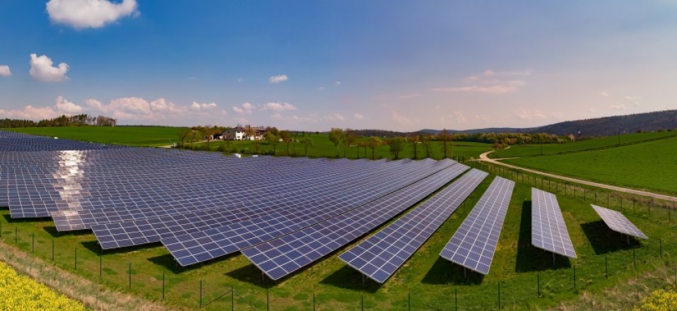 Bild zum Artikel Milk the Sun Erfahrungen