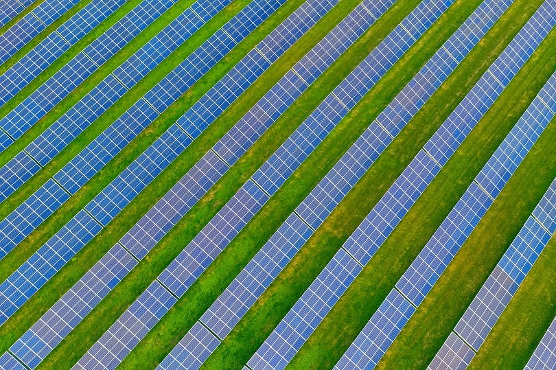 Milk the Sun Erfahrungen