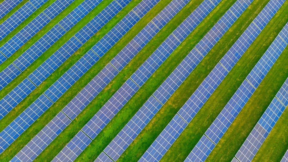 Bild zum Artikel Milk the Sun Erfahrungen