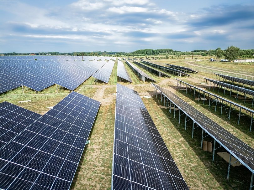 Milk the Sun Erfahrungen