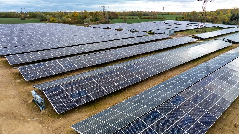 Milk the Sun Erfahrungen