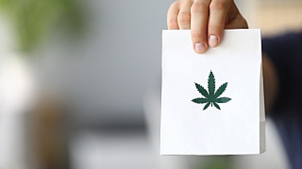 Bild zum Artikel Cannabis auf Rezept: Online-Vergleich