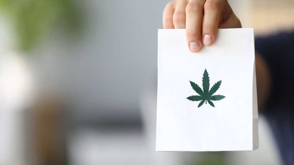 Bild zum Artikel Cannabis auf Rezept: Online-Vergleich
