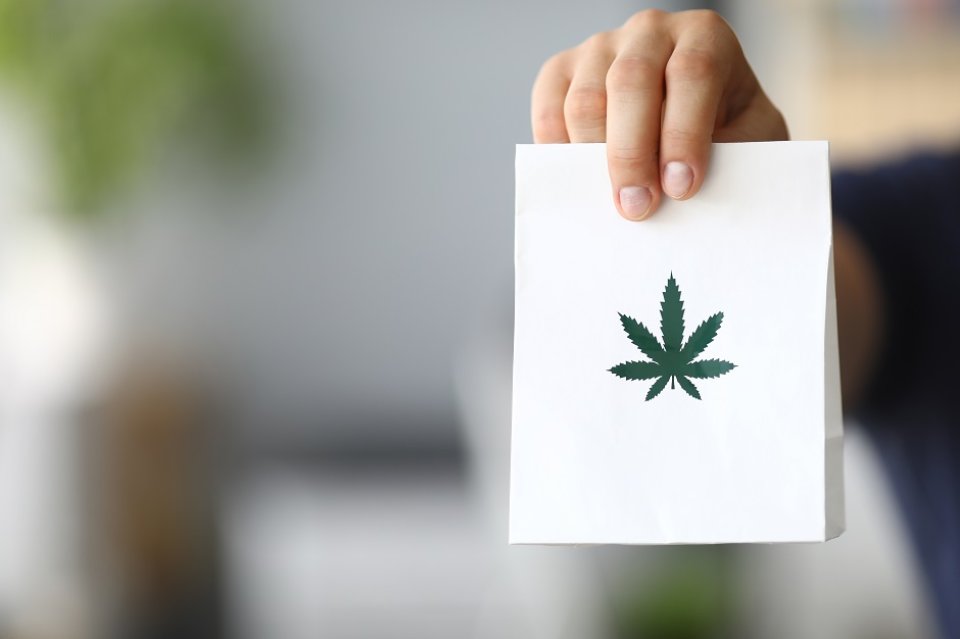 Bild zum Artikel Cannabis auf Rezept: Online-Vergleich
