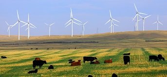 Bild zum Artikel: Warum in eine Anleihe investieren?