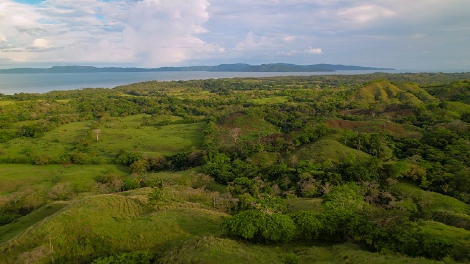 Bild zum Artikel La Rivera S.A.