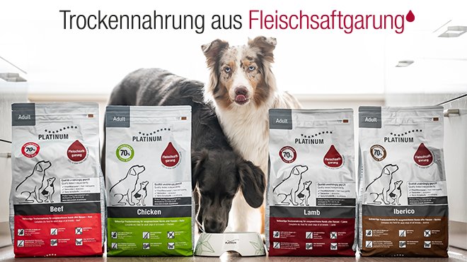 Trockenfutter für Hunde