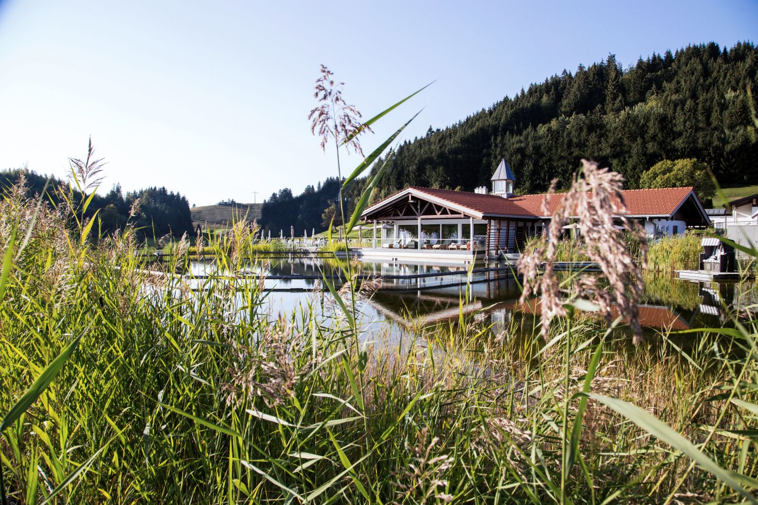 Sommerfrische am Naturbadesee in Haubers Naturresort