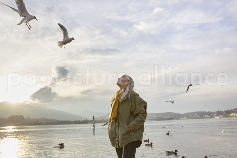 ZU DER EIDGENOESSISCHEN ABSTIMMUNG VOM 24. SEPTEMBER 2017 UEBER DIE REFORM DER ALTERSVORSORGE 2020 STELLEN WIR IHNEN FOLGENDES BILDMATERIAL ZUR VERFUEGUNG - [Symbolic Image, Staged Picture] An elderly woman looks at sea gulls at Lake Lucerne in Lucerne, Switzerland, on November 22, 2016. (KEYSTONE/Christof Schuerpf)