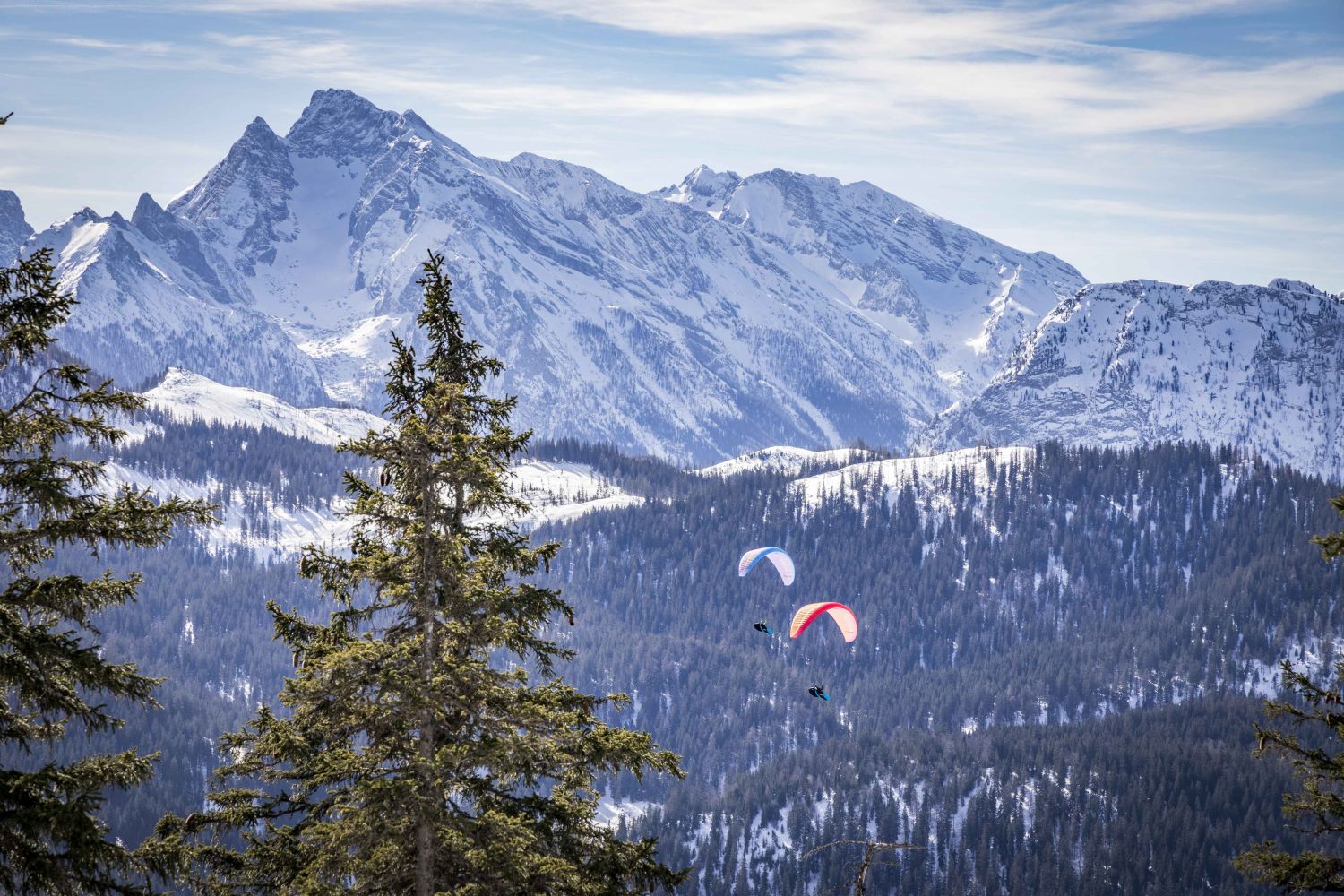 Paraglider schweben am Himmel über Bad Reichenhall