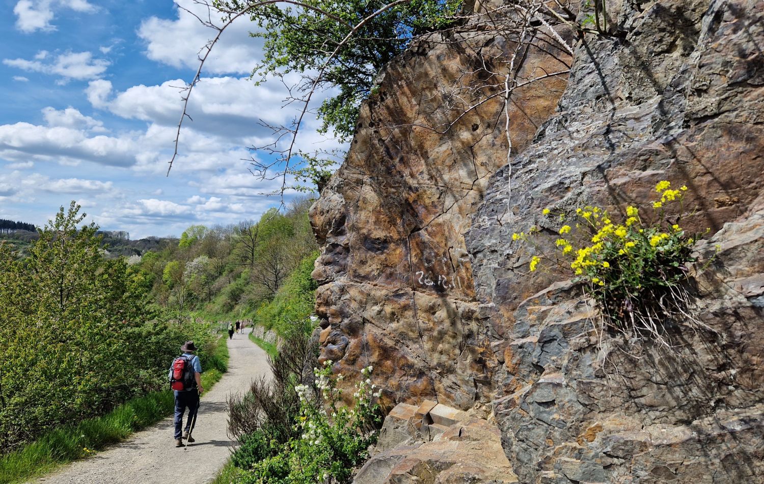 Ahrtal Klippen am Wanderweg