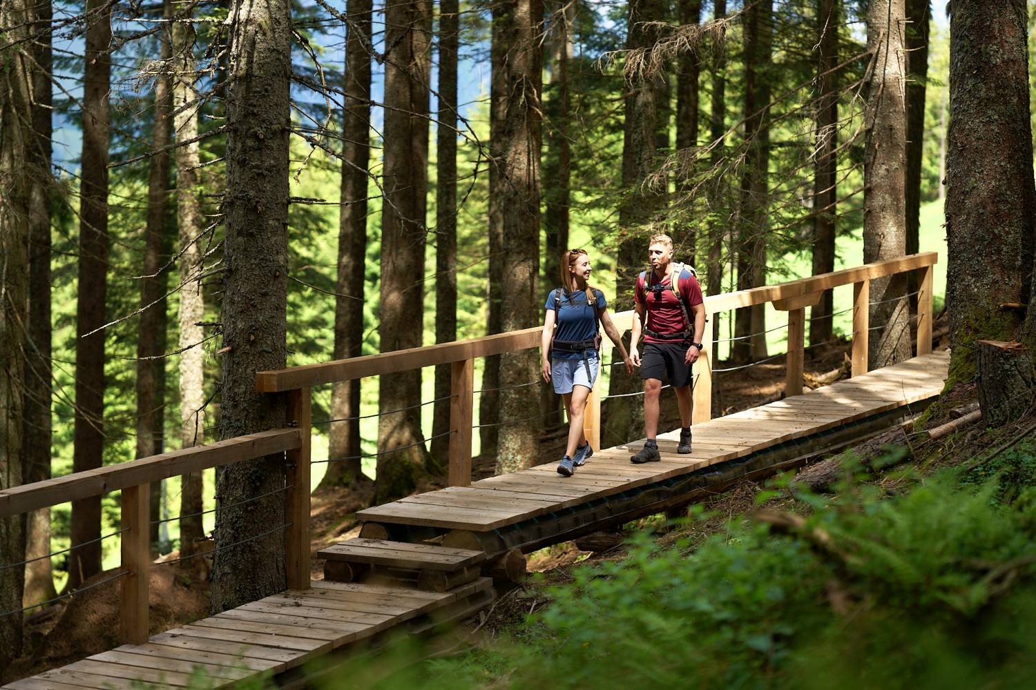 Coolcation beim Waldbaden