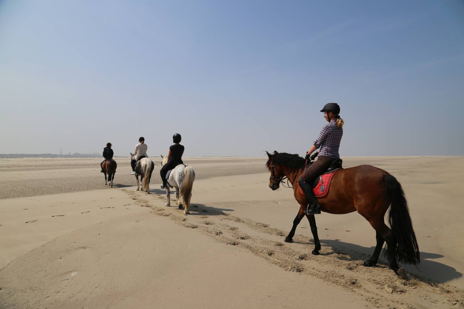 Borkum_Ausritt am Nordstrand © Thomas Sbikowski
