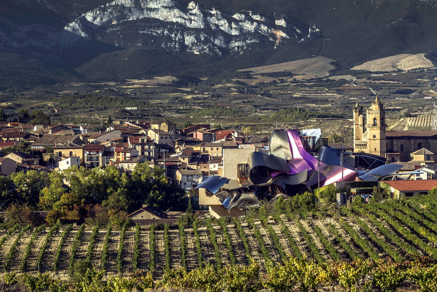 Eine Weinregion voller Kontraste © CRR Rioja, Justo Rodriguez