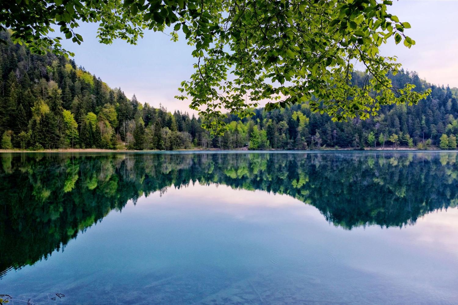 Geheimisvoller Alatsee © Füssen Tourismus und Stadtmarketing Thomas Kuzmic
