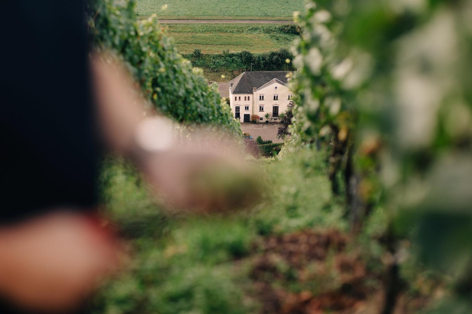 Das Weingut Karthäuserhof liegt inmitten der Weinberge © Karthäuserhof, Niclas Rimek
