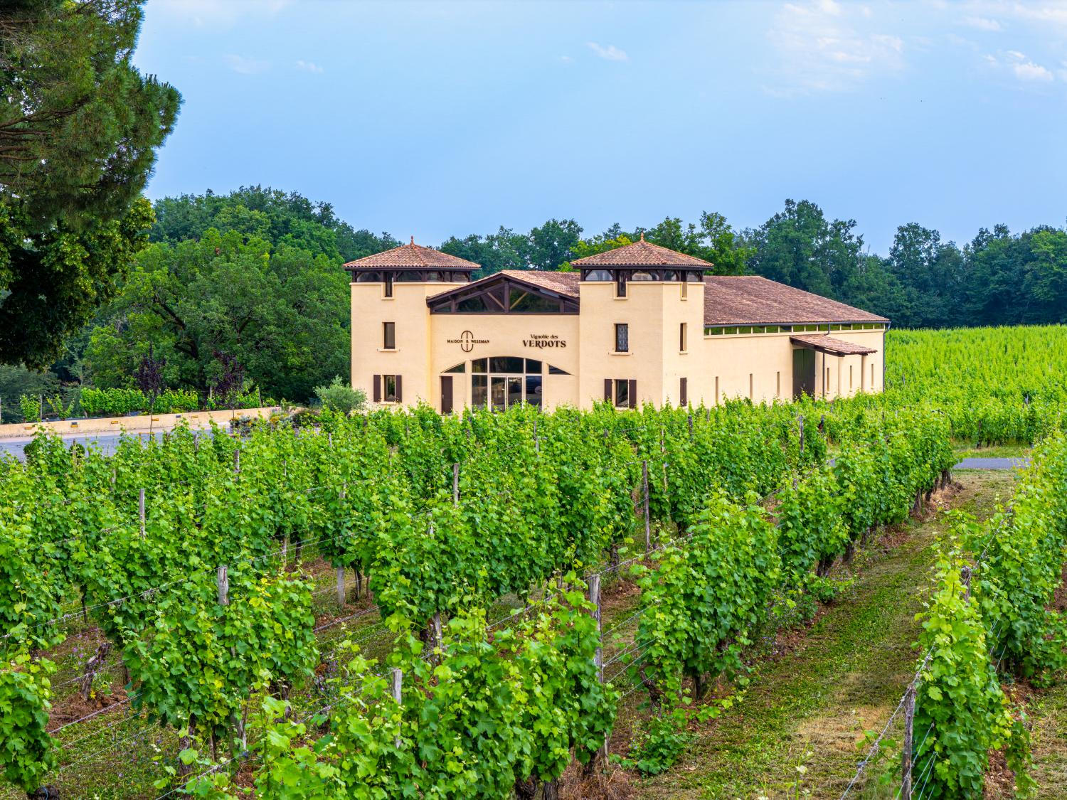 Das Weingut liegt in Südfrankreich @ Stefan Drengsson