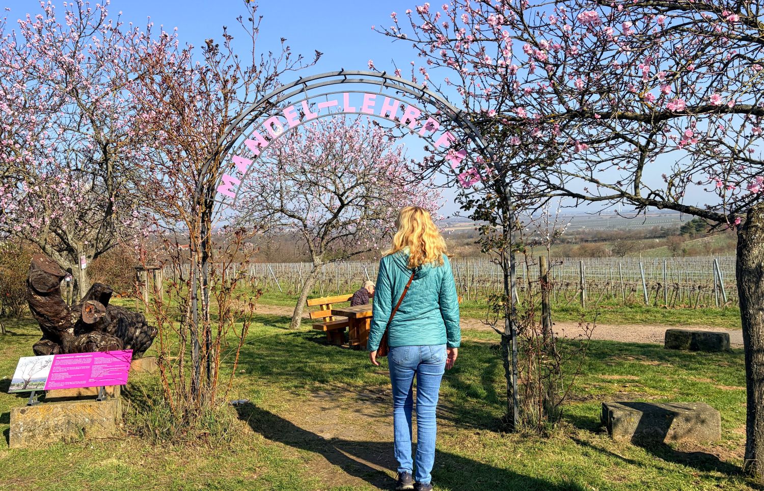 Mandel-Lehrpfad in Gimmeldingen © Redaktion Bonder