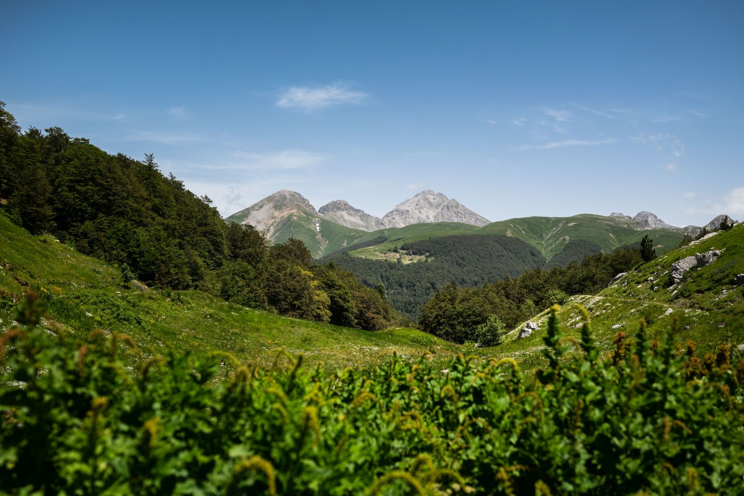 Die Bergwelt im Osten Montenegros zählt 13 Gipfel mit mehr als 2.000 Metern Höhe ©︎ AUZP