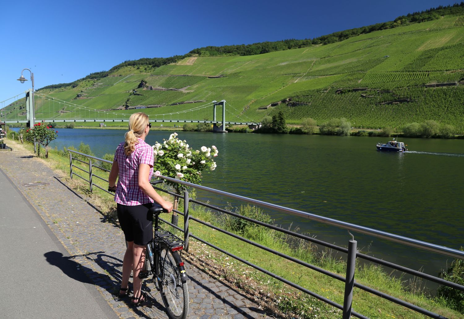 Auf dem Moselradweg geht es steigungsarm am Fluss entlang nach Traben-Trarbach © Bonder