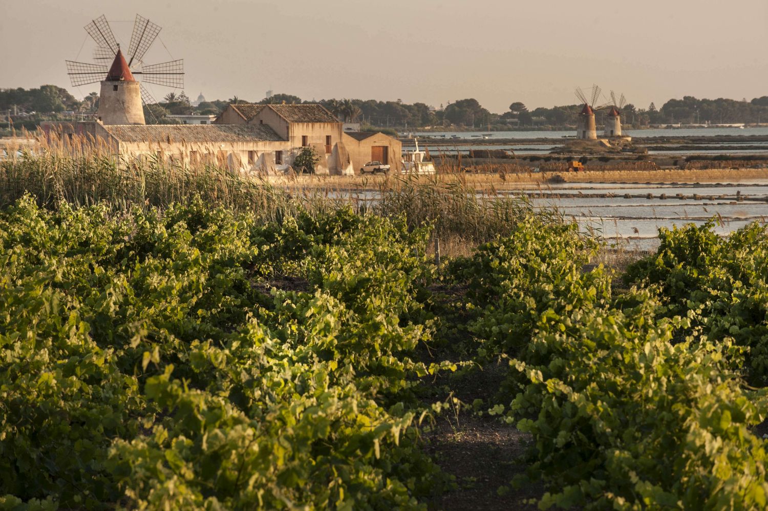 Die Region um Marsala © Cantine Pellegrino