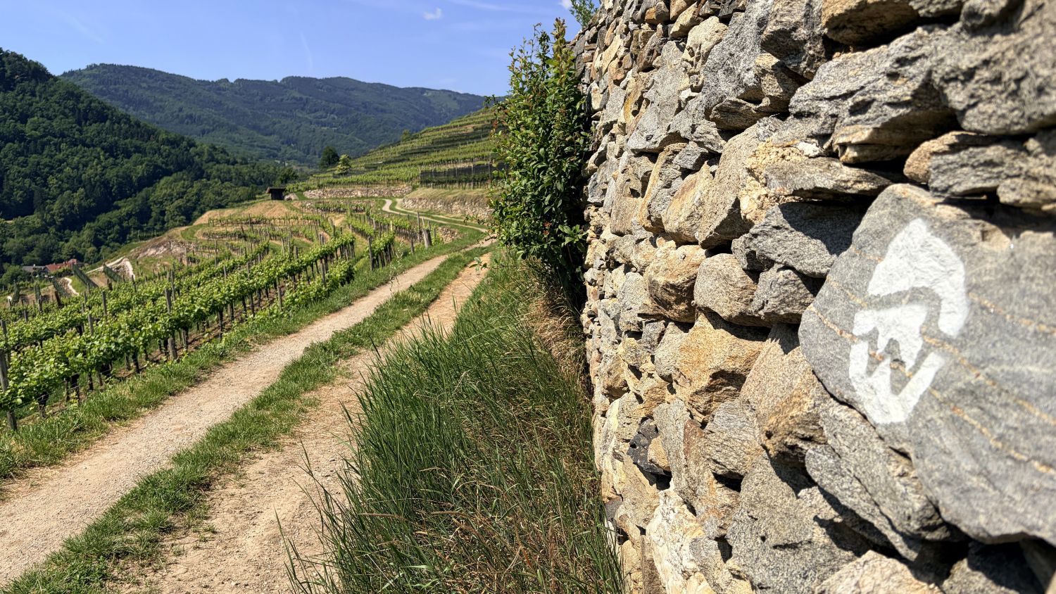 Das Welterbezeichen kennzeichnet den Welterbesteig © Bonder
